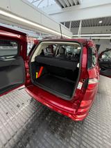 Ford EcoSport 1,0 EcoBoost 92kW ST-Line Automatik... - Ford EcoSport mit Benzin-Antrieb: Geländewagen, 1.0