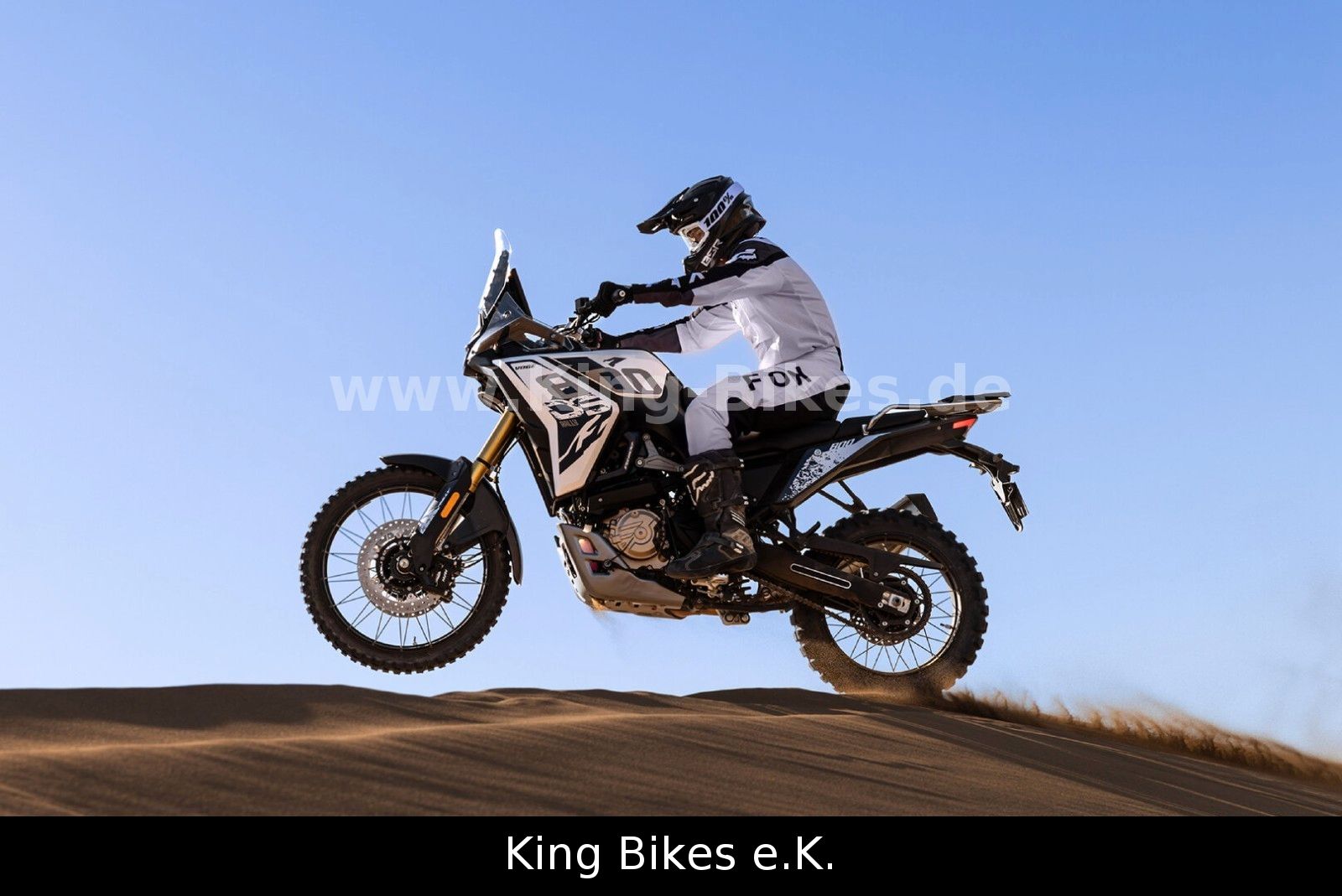 Fahrzeugabbildung VOGE 800DS RALLY/DS800X RALLY -Inkl. 3 Jahre Garantie