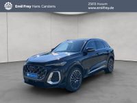 Audi SQ5 - Vorschau Bild 1