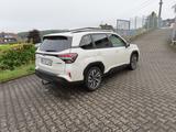 Subaru Forester 2.0 ie AWD Platinum AHK - Subaru Forester mit Hybrid-Antrieb: Platinum