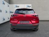 Mazda CX-30 SKYACTIV-X 2.0 M Hybrid 6AG AL-SELECTION A - scheckheftgepflegte Mazda CX-30