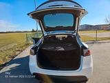 Tesla Model Y Performance Dual Motor AWD Performance - Tesla Model Y: Performance