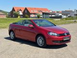 Volkswagen Golf 2.0 TDI/ DSG /Scheckheft/Insp.NEU/TÜV NEU - Volkswagen Golf: Cabrio, I