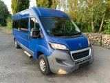 Peugeot Boxer Bus Lang L3H2 Rollstuhl Klima Standheizung - Peugeot Boxer