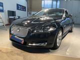 Jaguar XF 2.2 D*XENON*NAVI*ACC*LEDER*SHZ*MEMORY*2.HD* - Jaguar XF: Limousine