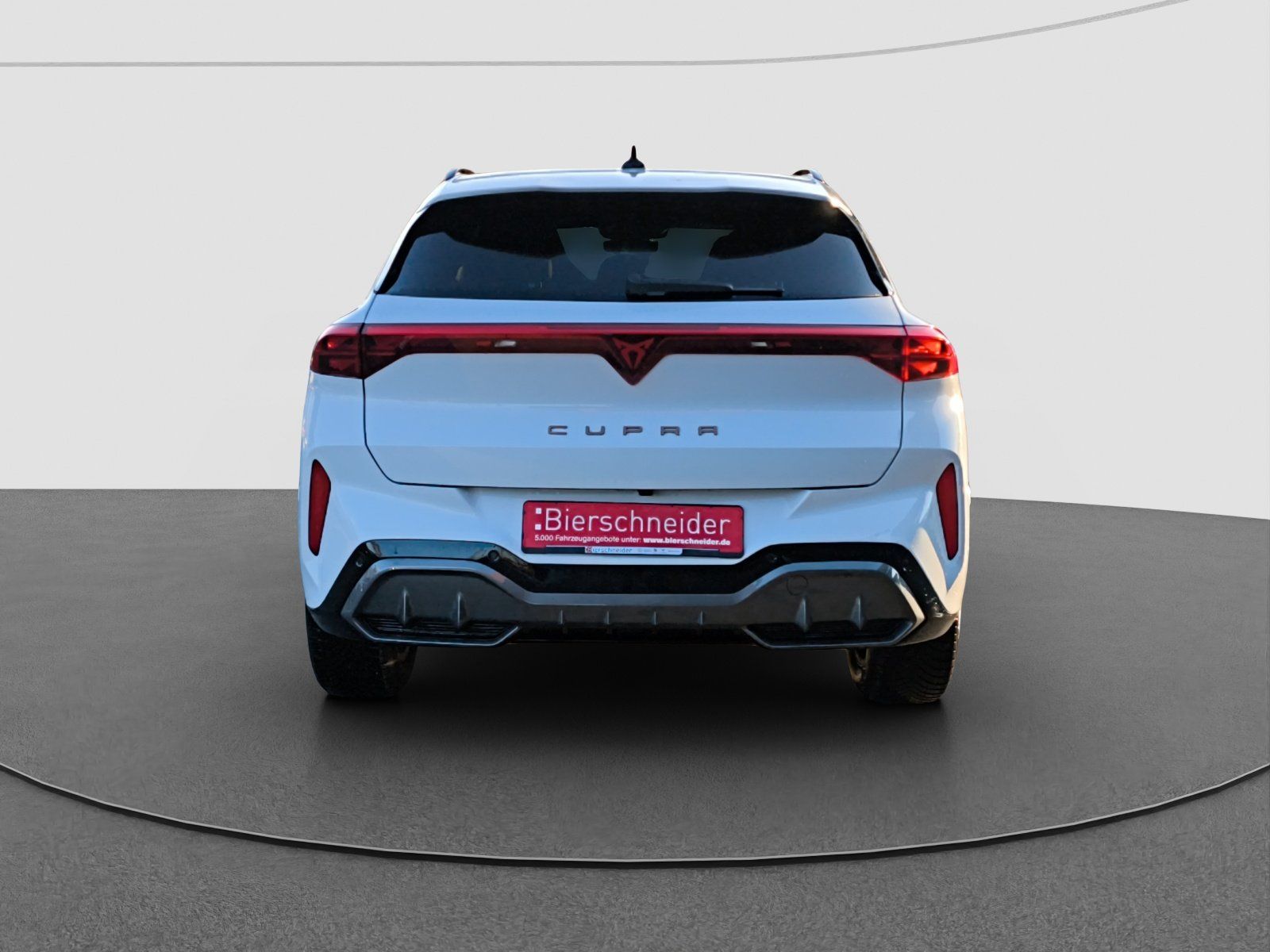 Cupra Terramar - Bild 8