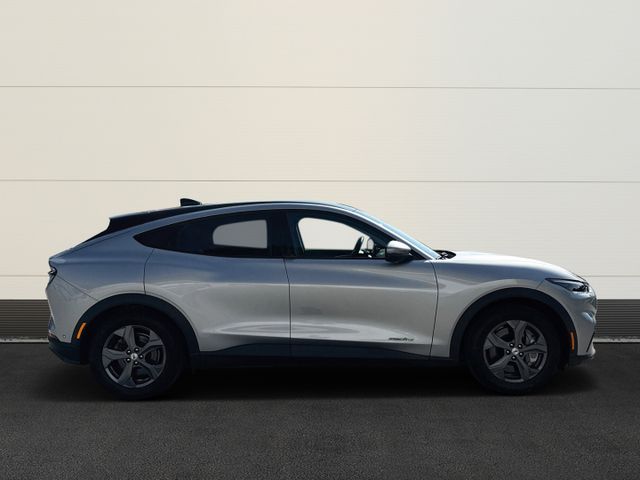 Ford Mustang MACH-E RWD 75kWh Tech-Pkt. 2, Panodach, 