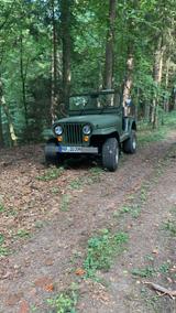 Jeep Willys BJ 1957 - Jeep Willys von privat