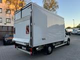 Peugeot Boxer Kühlkoffer Hebebühne luftfederung Tüv neu - Hebebühne
