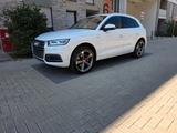 Audi Q5 2.0 TDI 140kW S tronic quattro sport - Audi Q5: Weiß