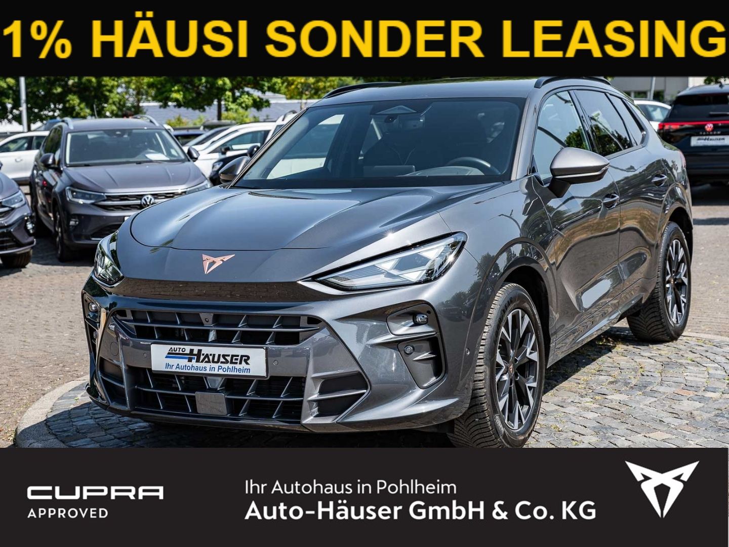 Cupra Terramar - 1
