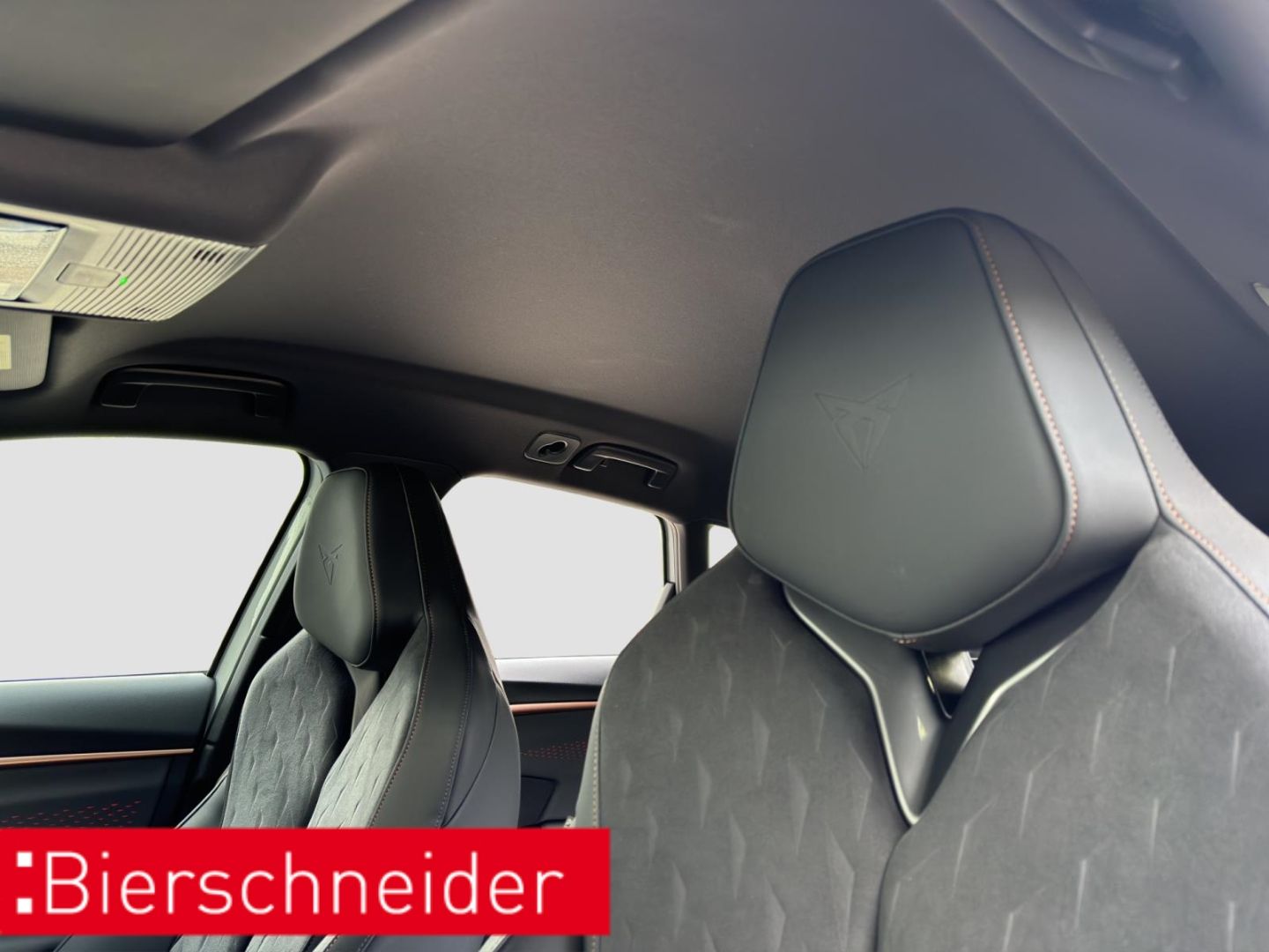 Cupra Terramar - Bild 30