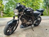 Suzuki SV 650 A2 Tiefergelegt  - SUZUKI SV 650 A
