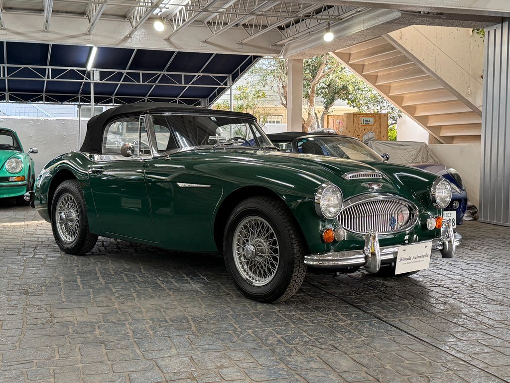 Austin Healey Andere