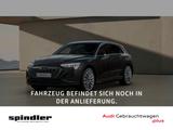 Audi Q8 e-tron S-Line 50 quattro / Matrix, AHK, B&O - mit Elektro-Antrieb: Braun, Geländewagen