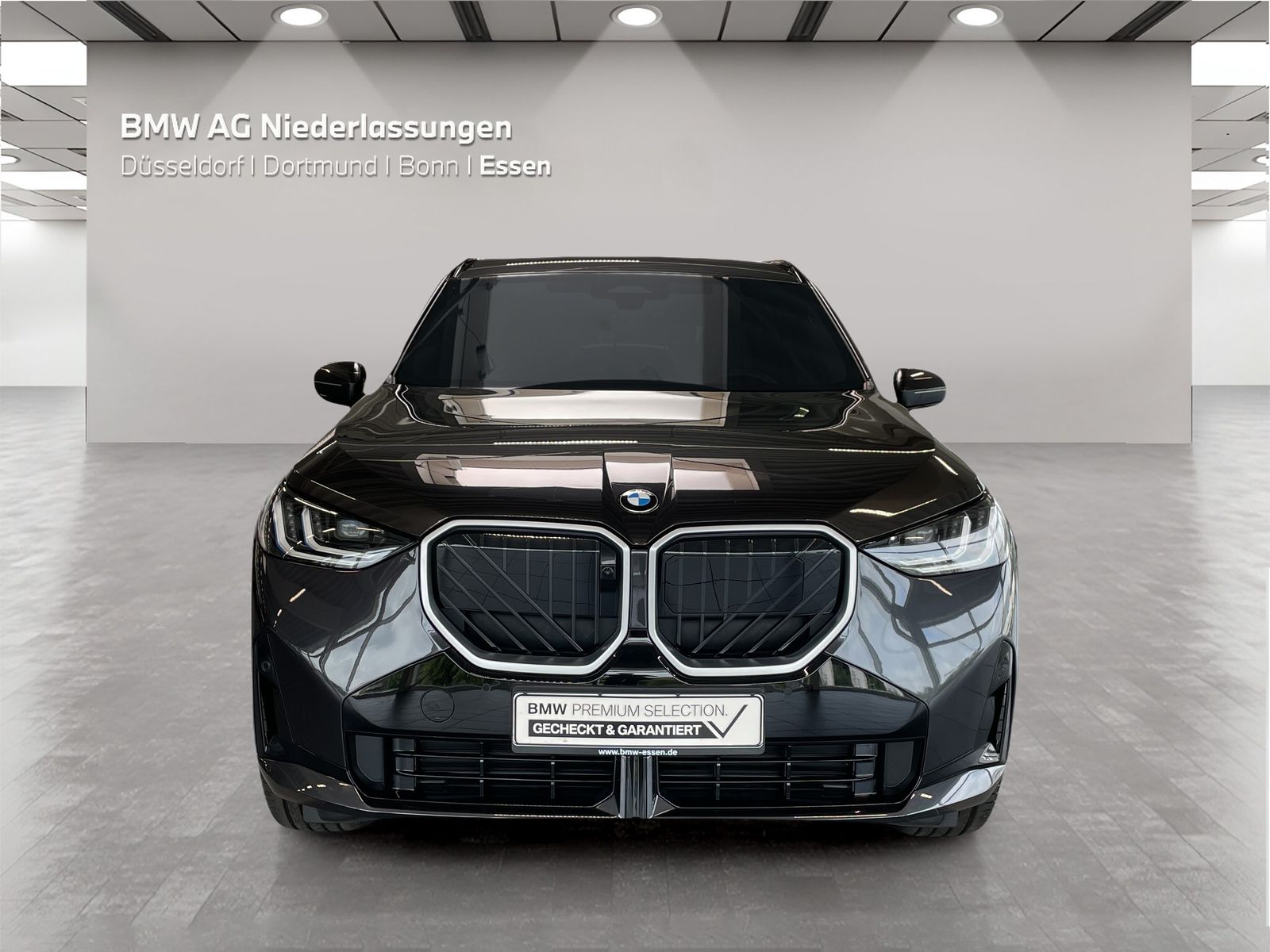 BMW X3 - Bild 8