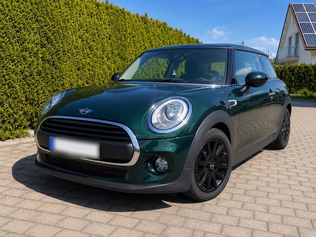 MINI ONE_D