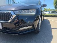 Skoda Octavia - Vorschau Bild 13