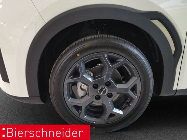BYD DOLPHIN SURF