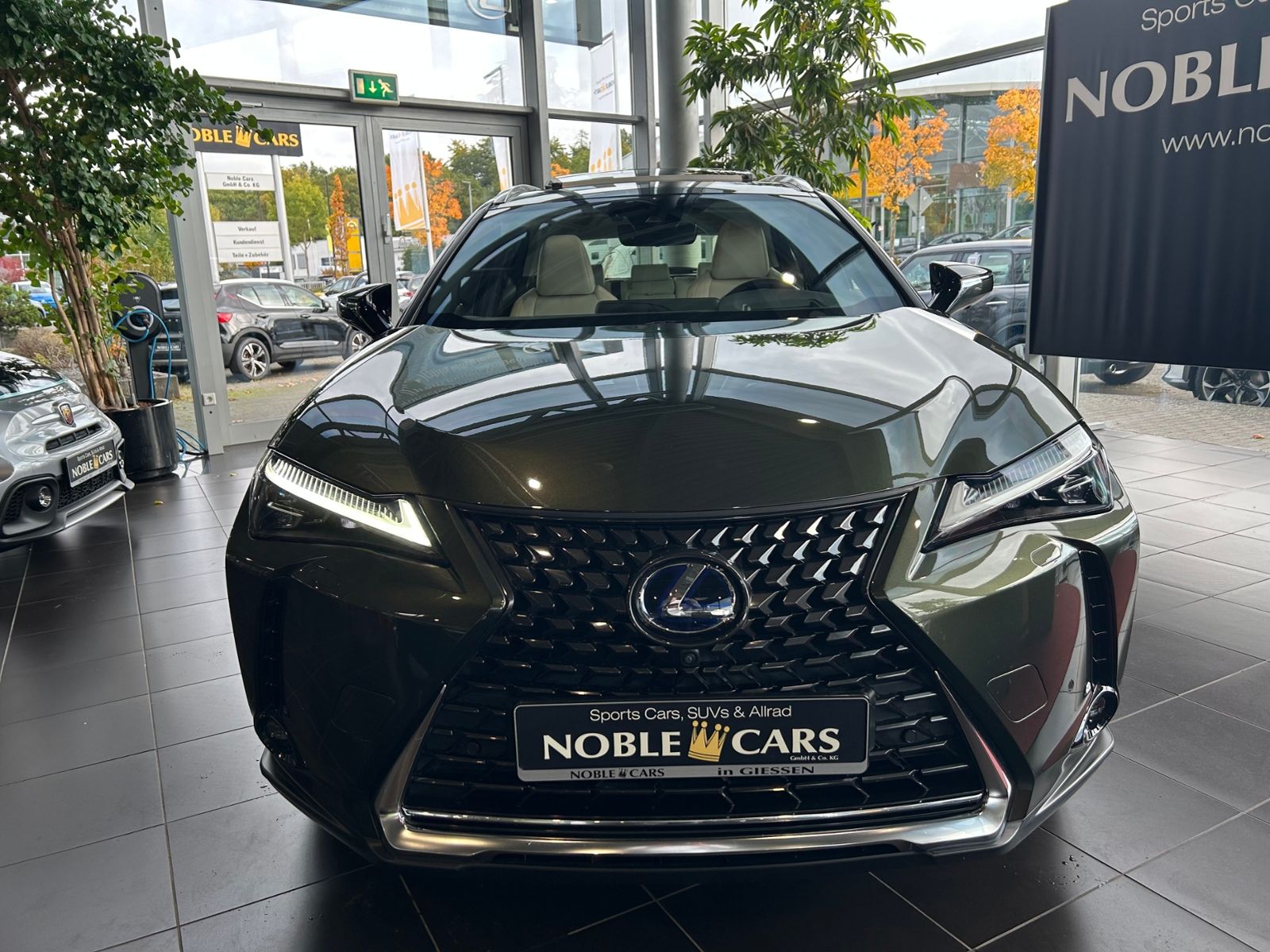 Fahrzeugabbildung Lexus UX 250 h Luxury PANO 360°