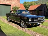 Ford Mustang - Ford Mustang aus 1966: Coupe
