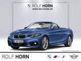 BMW 230i Cabrio M Sportpaket Navi RKam h/k LED Klima - BMW 230: I