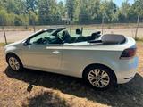 Volkswagen Golf 1.4 TSI 90 kW LIFE Cabriolet  - Volkswagen Golf: 1.9