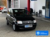 Fiat Panda 1.2 8V Dynamic I TÜV 11/2027 - Fiat Panda: Dynamic