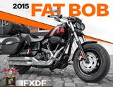 Harley-Davidson FXDF Dyna Fat Bob - Angebote