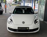 Volkswagen New Beetle 1.2 TSI CABRIO *KLIMAAUTO*TEMPOMAT* - weiße Volkswagen New Beetle
