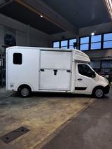 Renault PARAGAN - Pegasus 3 XL - 2-Pferde-Transporter - Tier- & Pferdetransport für 2 Pferde