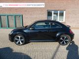 Volkswagen Beetle Lim. Design - gebrauchte VW Beetle aus dem Jahr 2013