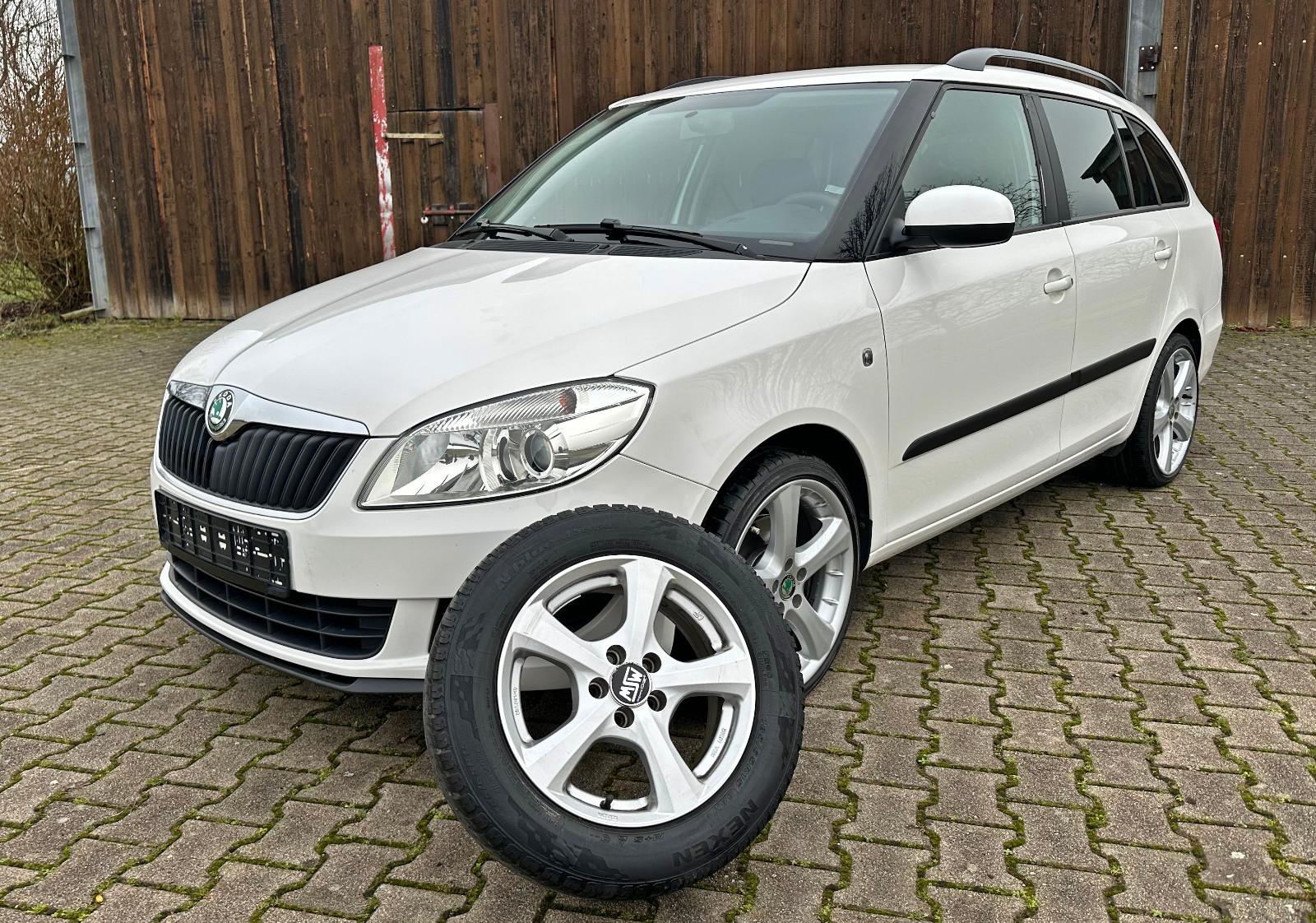 Skoda Fabia Tüv+Au Neu Scheckheft SHZ Klima 8xBereift