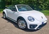 Volkswagen VW Beetle Cabrio 2.0 *R-line* - Volkswagen Beetle in Oberhausen