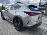 Lexus NX 350h E-FOUR Executive Line 360 NAVI PANO HUD  - Lexus aus 2023
