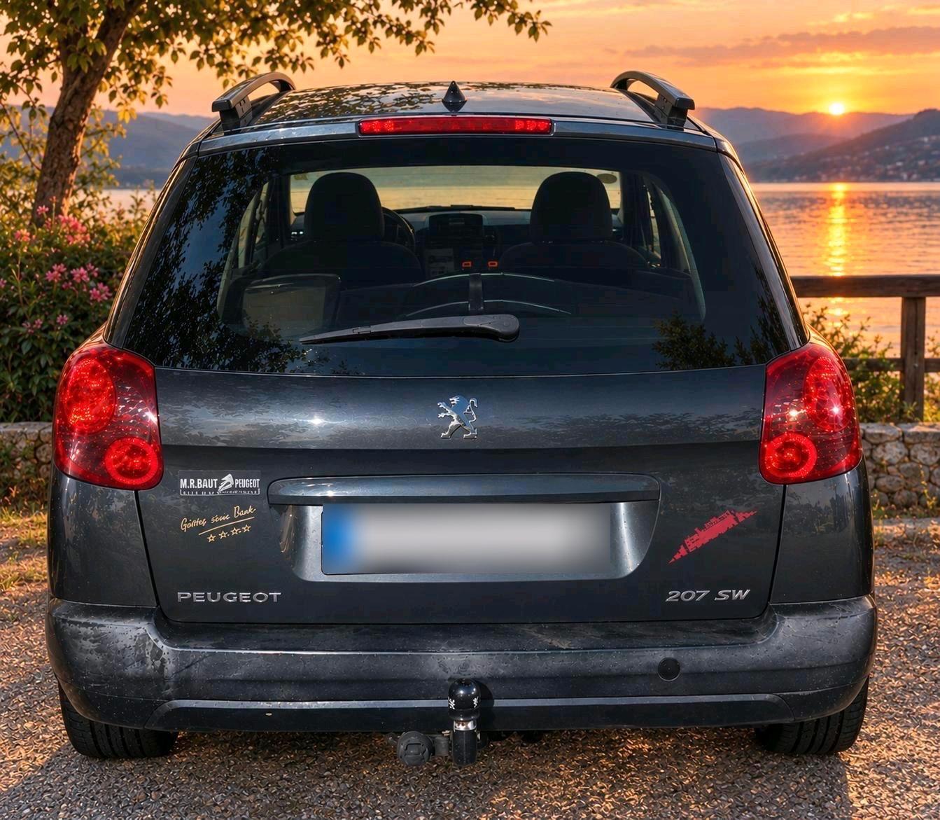 Peugeot 207 2009 — rear view