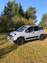 Fiat Panda 1.0 GSE Hybrid CROSS - Fiat Panda aus 2020