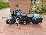 Indian Chief Bobber Dark Horse Stealth Gray  - INDIAN CHIEF BOBBER DARK HORSE