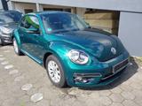 Volkswagen Beetle 1.4 TSI BMT Design*DSG*NAVI*TEMPOM.*KLIMA - Volkswagen: Winterreifen