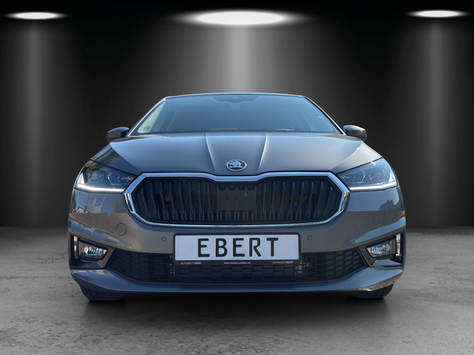 Fahrzeugabbildung SKODA Fabia Tour 1,0 TSI 70 kW