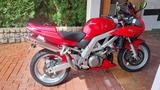 Suzuki SV 1000 S - SUZUKI SV 1000