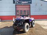 Access Motor Shade Xtreme NG 650 - QUAD 6X6