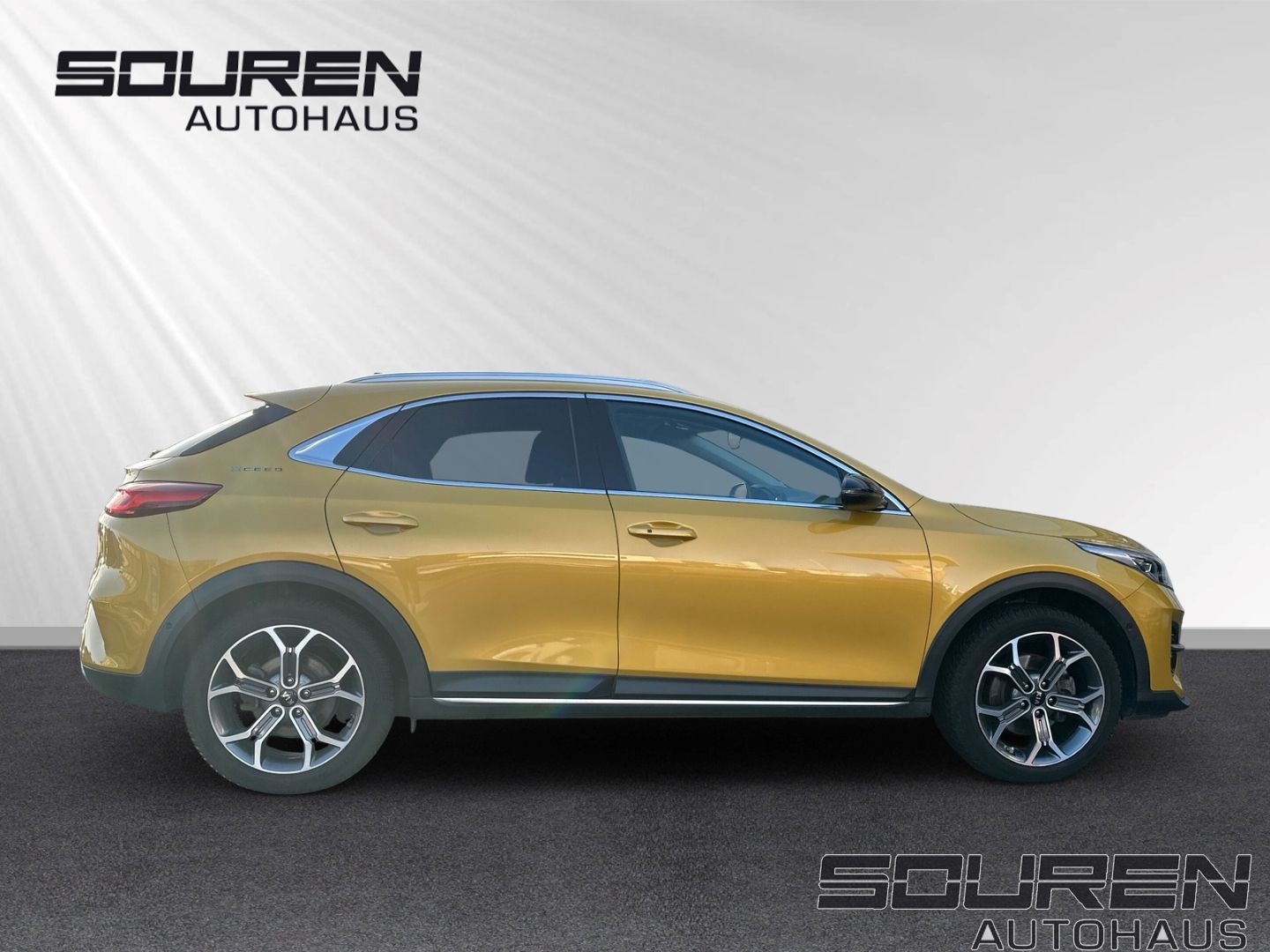 Fahrzeugabbildung Kia XCeed 1.6 T-GDI PHEV Platinum AHK Panoramadach