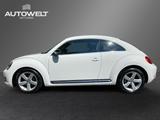 Volkswagen Beetle Lim. 2.0 TDI Sport XENON SITZHEIZ uvm. - Volkswagen Beetle Sport mit Diesel-Antrieb