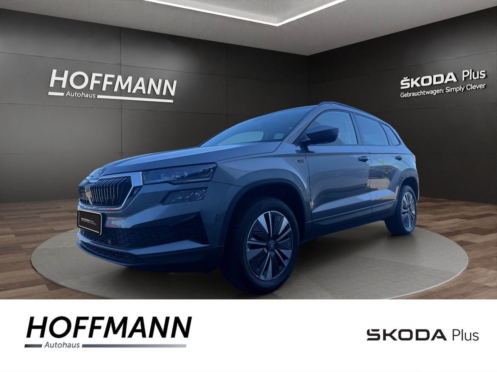 Fahrzeugbild von Skoda Karoq