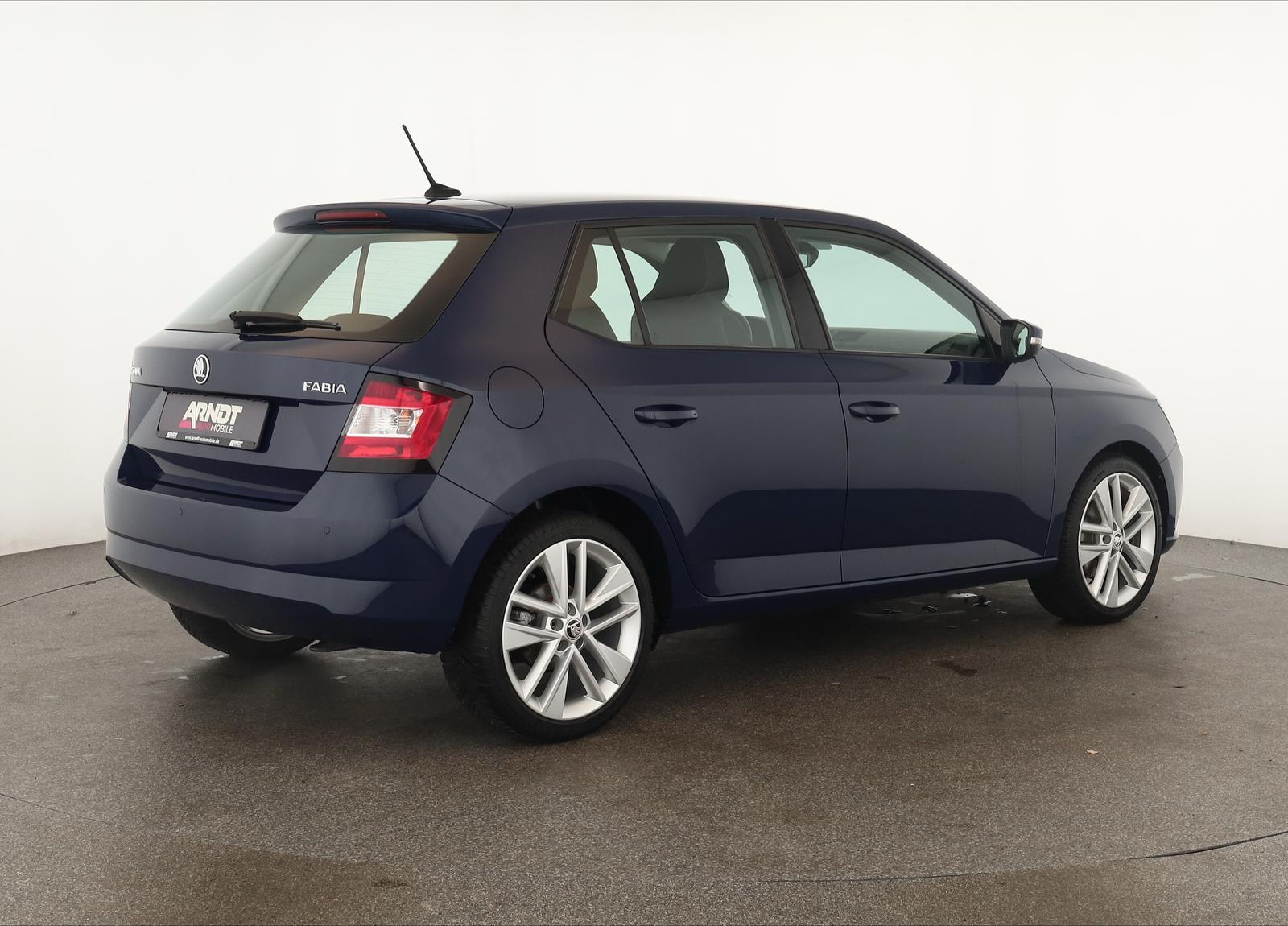 Skoda Fabia 1.0 TSI DSG Style Klima DAB SHZ ACC PDC 17