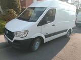 Hyundai h350 / 2,5l AHK neuer Tüv zuverläs... - Hyundai H350 Gebrauchtwagen