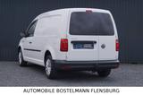 Volkswagen Caddy Maxi Kasten AHK/ALLWETTER/NAVI/KLIMA/PDC - Diesel Gebrauchtwagen in Flensburg