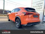 Lexus NX 300h E-Four F-Sport*CARPLAY*LEDER*LED*HEAD-UP - Lexus: F Sport