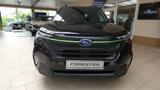 Subaru Forester 2.0 ie AWD Edition Exclusive Cross - Subaru Forester EDITION-EXCLUSIVE-CROSS